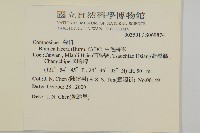 生毛將軍藏品圖，第2張