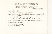 金腰箭藏品圖，第2張