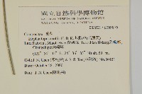 地膽草、毛蓮菜藏品圖，第2張