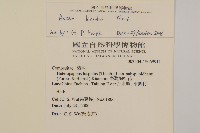 狗娃花藏品圖，第2張