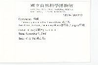 狗娃花藏品圖，第2張