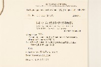 山菊藏品圖，第2張