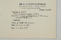 日本衛矛, 大葉黃楊藏品圖，第2張