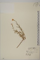 登錄號:S069929藏品圖，第1張