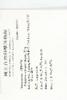 宜梧藏品圖，第2張