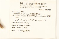 鯽魚膽、闊苞菊藏品圖，第2張