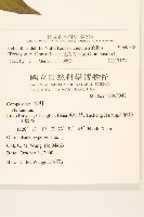 瓜葉向日葵藏品圖，第2張