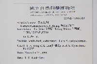 鴛鴦湖細辛藏品圖，第2張