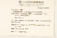 山苦藚、假福王草藏品圖，第2張