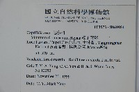 紅子莢迷藏品圖，第2張