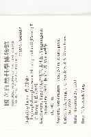 耿氏虎皮楠藏品圖，第2張