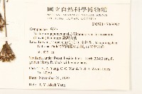 臺灣山菊藏品圖，第2張