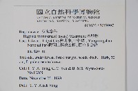 水鴨腳藏品圖，第2張