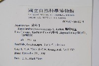 臺灣馬藍藏品圖，第2張