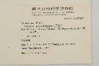 刺果衛矛藏品圖，第2張