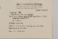 黃金珠藏品圖，第2張