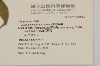 臺灣馬蘭藏品圖，第2張