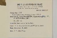 茯苓菜藏品圖，第2張