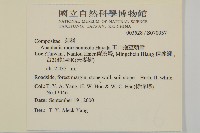 玉山抱莖籟簫藏品圖，第2張