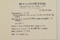 小花繁縷藏品圖，第2張