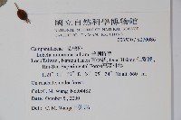 普刺特草藏品圖，第2張