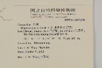 地膽草、毛蓮菜藏品圖，第2張