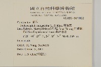 茯苓菜藏品圖，第2張