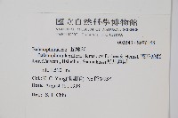 穗花蛇菰藏品圖，第2張