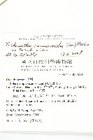 王瓜藏品圖，第2張