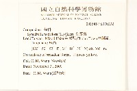 金腰箭藏品圖，第2張