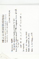 軟毛柿藏品圖，第2張