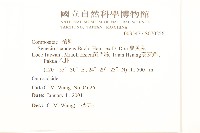 蔓黃菀藏品圖，第2張