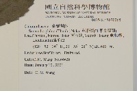 草珊瑚、紅果金粟蘭藏品圖，第2張