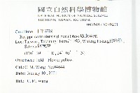 廣東葶藶藏品圖，第2張