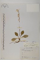 臺灣鬼督郵藏品圖，第1張