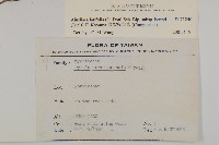 臺灣鬼督郵藏品圖，第2張