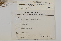 臺灣鬼督郵藏品圖，第2張