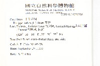 葶藶藏品圖，第2張