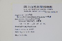 水鴨腳藏品圖，第2張