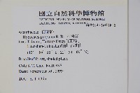 六角英, 槍刀菜藏品圖，第2張