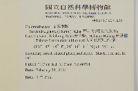 草珊瑚、紅果金粟蘭藏品圖，第2張