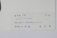 登錄號:S071887藏品圖，第2張