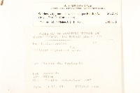 一枝黃花藏品圖，第2張