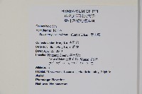 賽山藍藏品圖，第2張