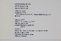 曲莖馬藍藏品圖，第2張