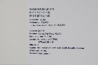 巴西番荔枝藏品圖，第2張