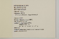 福建賽衛矛、福建假衛矛藏品圖，第2張