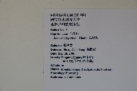 忍冬、金銀花藏品圖，第2張