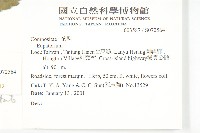 台灣澤蘭藏品圖，第2張