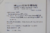 草野氏冬青藏品圖，第2張